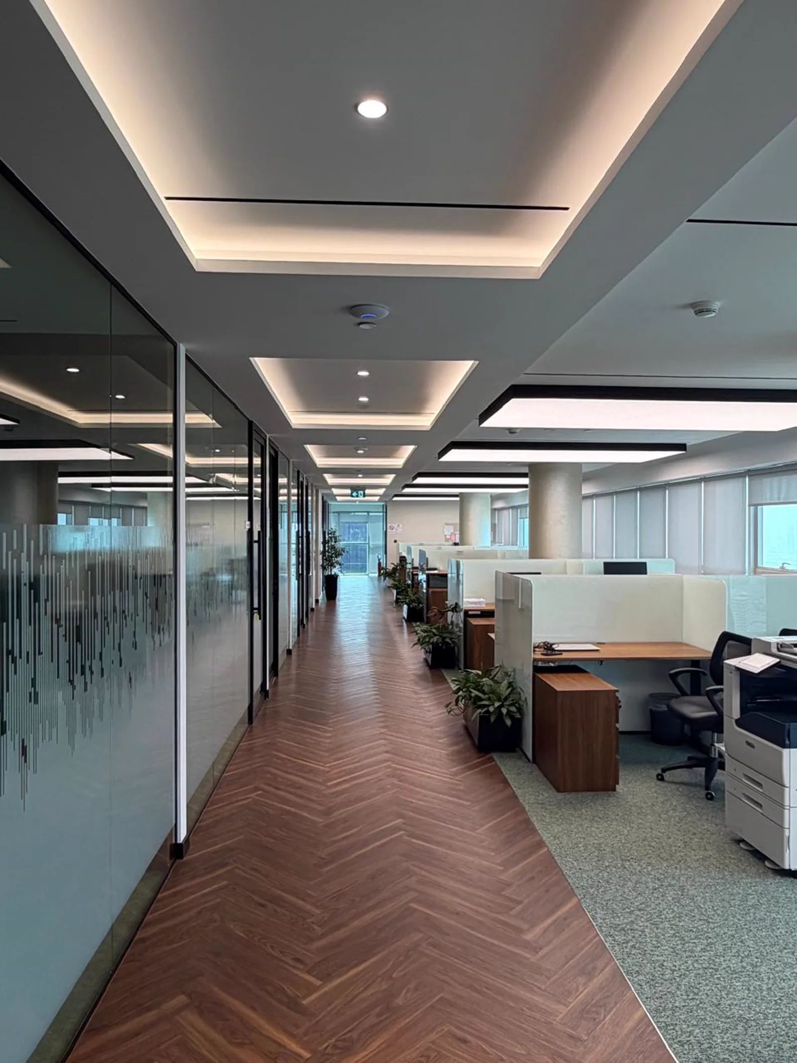 Completed office corridor at Indorama DMCC with herringbone timber flooring, frosted glass partitions and recessed cove lighting